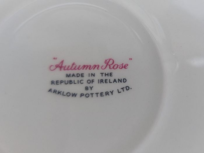 Beautiful Set of Six Large Dinner Plates by Arklow Pottery in the Very Popular and Collectable "Autumn Rose" Pattern
