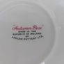 Beautiful Set of Six Large Dinner Plates by Arklow Pottery in the Very Popular and Collectable "Autumn Rose" Pattern Image 6