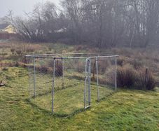 Dog pen