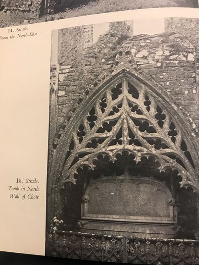 Rare 1st Edition-The Irish Dominicans
