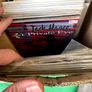 Indie Long Comic Box w 270 Comics for Sale Image 9