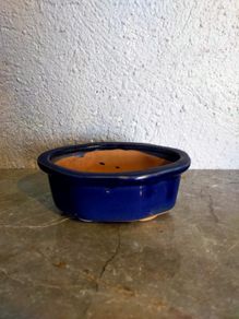 Small Bonsai Pot #11