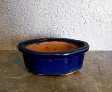 Small Bonsai Pot #11