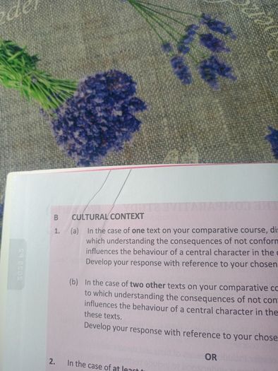 Edco English exam papers