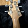 PRS silver sky "Dead spec" Image 10