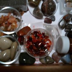 rocks, fossils, minerals