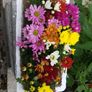 Flower Pot Image 2
