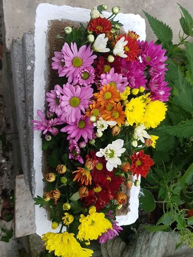 Flower Pot