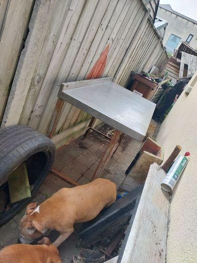 Stainless Steel Table
