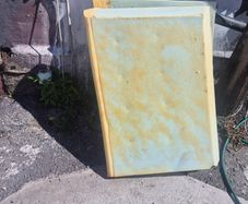 Foam