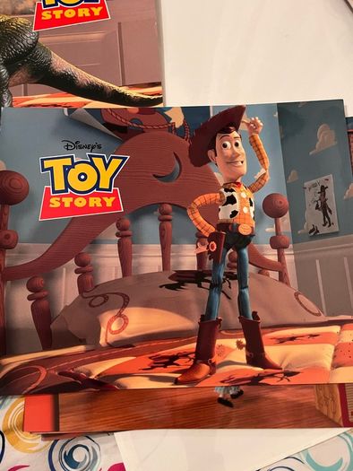 Toy Story Original Cinema Banner and Lobby Photos. Very Big. Rectangular