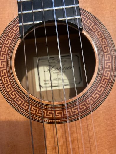 guitar and case