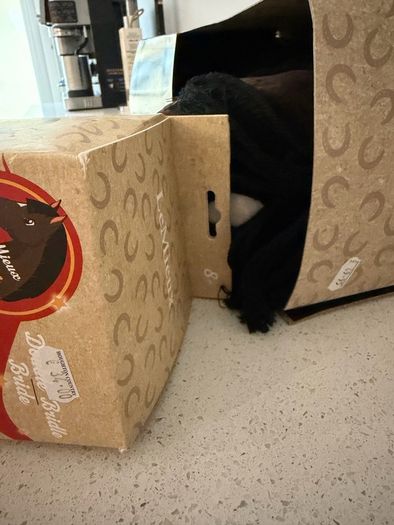 LeMieux Hobby Horse Brand New