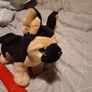 Battat German Shepherd soft toy Image 4