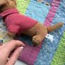 jellycat Image 3