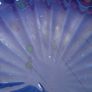 Achill Pottery, Scalloped platter, medium vase & posy vase Image 10