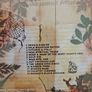 Blitzen Trapper CD - Wild Mountain Nation Image 2