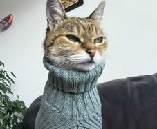 Grey Knitted Jumper for Cat or small Dog - NEW