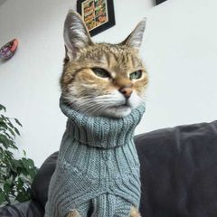 Grey Knitted Jumper for Cat or small Dog - NEW