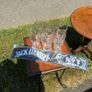 Jack Daniel's Bundle. Image 3