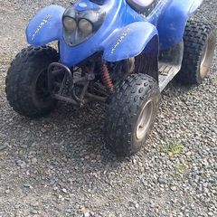 youth quad