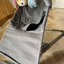 babybjorn bouncer Image 2
