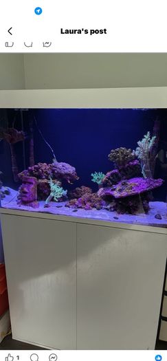 140 litre marina fish tank with fish and coral