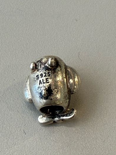 Pandora Silver Charm
