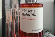 Maison Crivelli Hibiscus Mahajad