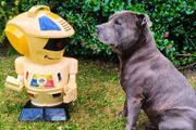 Vintage Scooter Robot