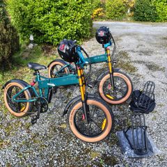 Pair Fiido M1 Pro E-Bike Near New