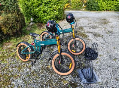 Pair Fiido M1 Pro E-Bike Near New