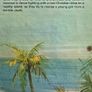 The Coral Island Image 2