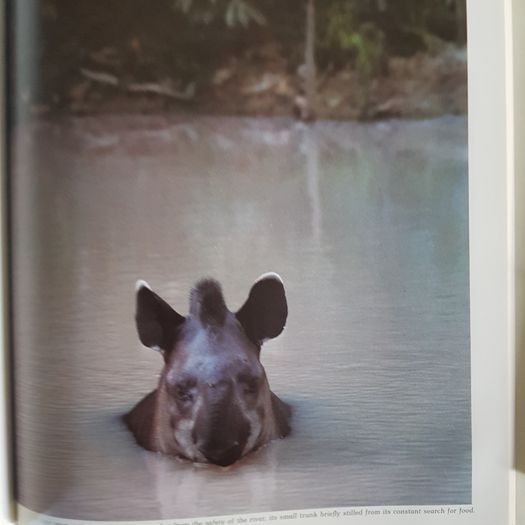 The World's Wild Places Time-life Books. 1x The Amazon.  2x Africa's Rift Valley. HARDBACK.