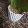 Plant decor Image 2