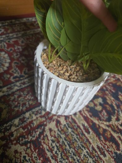 Plant decor