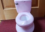 Summer Infant My Size Potty Pink