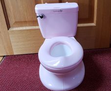 Summer Infant My Size Potty Pink