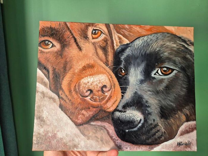 Black & Chocolate Labrador - oil painting