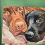 Black & Chocolate Labrador - oil painting Image 5