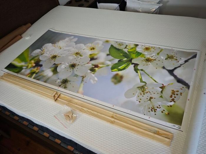 Bjorksta Apple Blossom Floral Canvas Art + Frame 140x60cm Horizontal/Vertical