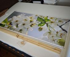 Bjorksta Apple Blossom Floral Canvas Art + Frame 140x60cm Horizontal/Vertical