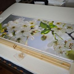 Bjorksta Apple Blossom Floral Canvas Art + Frame 140x60cm Horizontal/Vertical