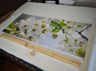 Bjorksta Apple Blossom Floral Canvas Art + Frame 140x60cm Horizontal/Vertical