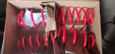 Volkswagen Passat 4motion COBRA Lowering Springs