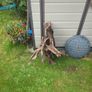 Fish Tank Drift Wood Image 5