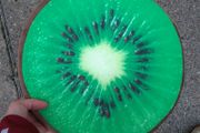Round Flat Kiwi Cushion (brand New)