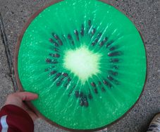 Round Flat Kiwi Cushion (brand New)