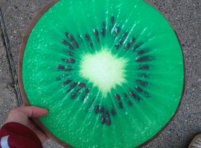 Round Flat Kiwi Cushion (brand New)