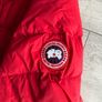 canada goose Image 4